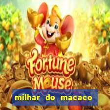 milhar do macaco que mais saem no jogo do bicho